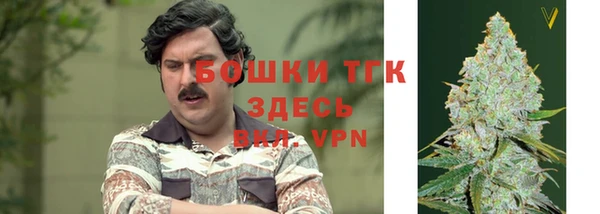 индика Красноперекопск