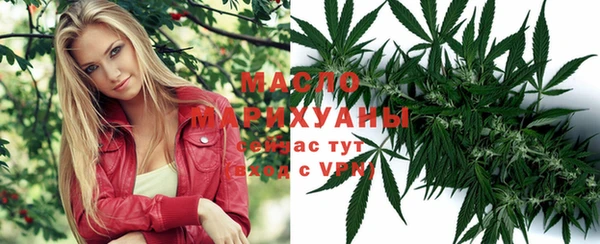 Альфа ПВП Белая Холуница