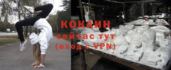 apvp Краснослободск