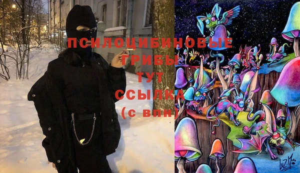 индика Красноперекопск