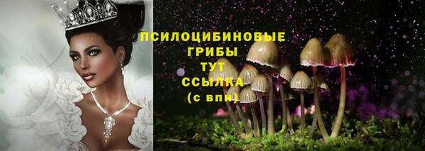 индика Красноперекопск