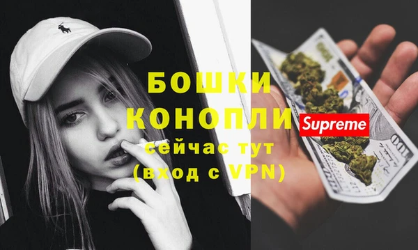 индика Красноперекопск