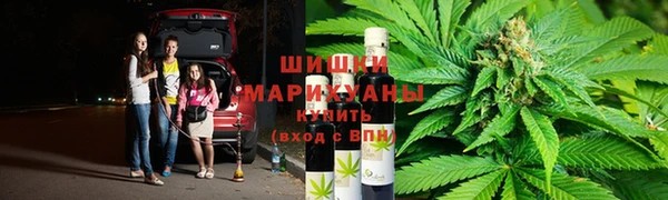 apvp Краснослободск