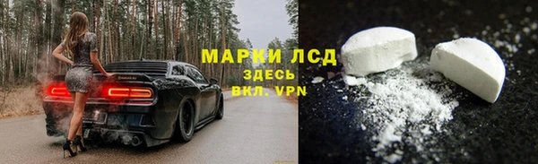 индика Красноперекопск