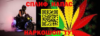 ECSTASY Ставрополь
