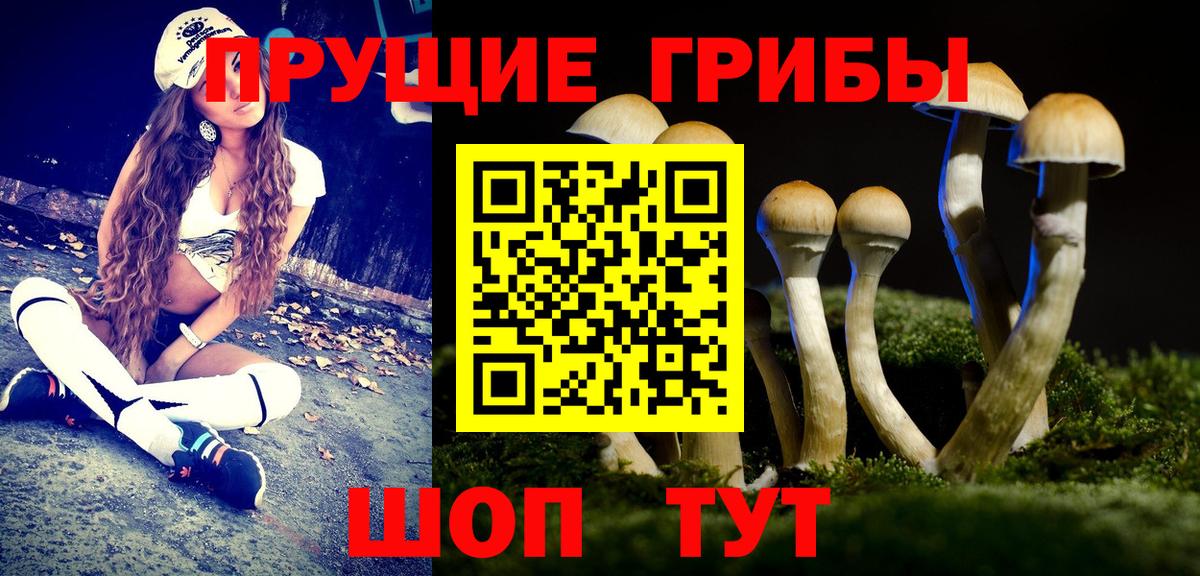 Псилоцибиновые грибы MAGIC MUSHROOMS Мегион