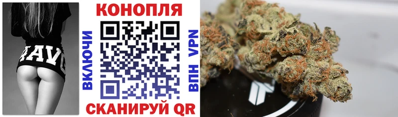 где найти наркотики  Мегион  Бошки Шишки тримм 